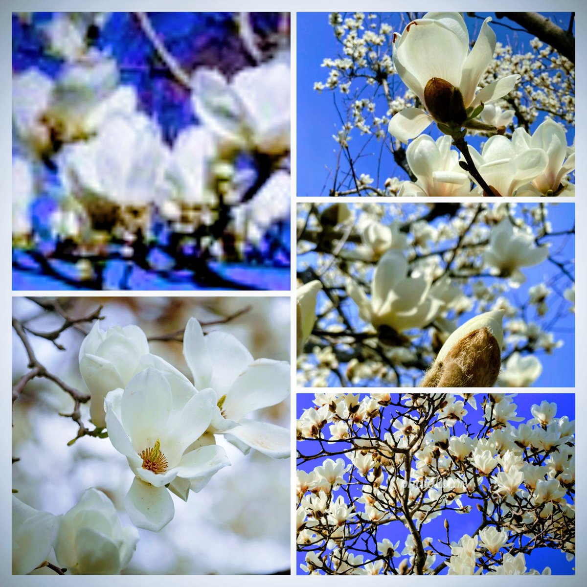 🍒✨のん✨🍒のんちゃん❤︎ポスト📮見てね🍀 (@auUuF4SrC9SuGMY