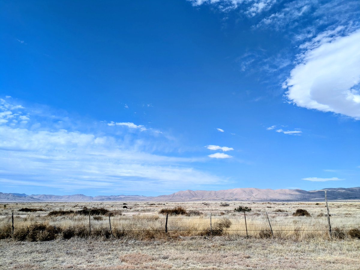 Traces of Texas tweet media