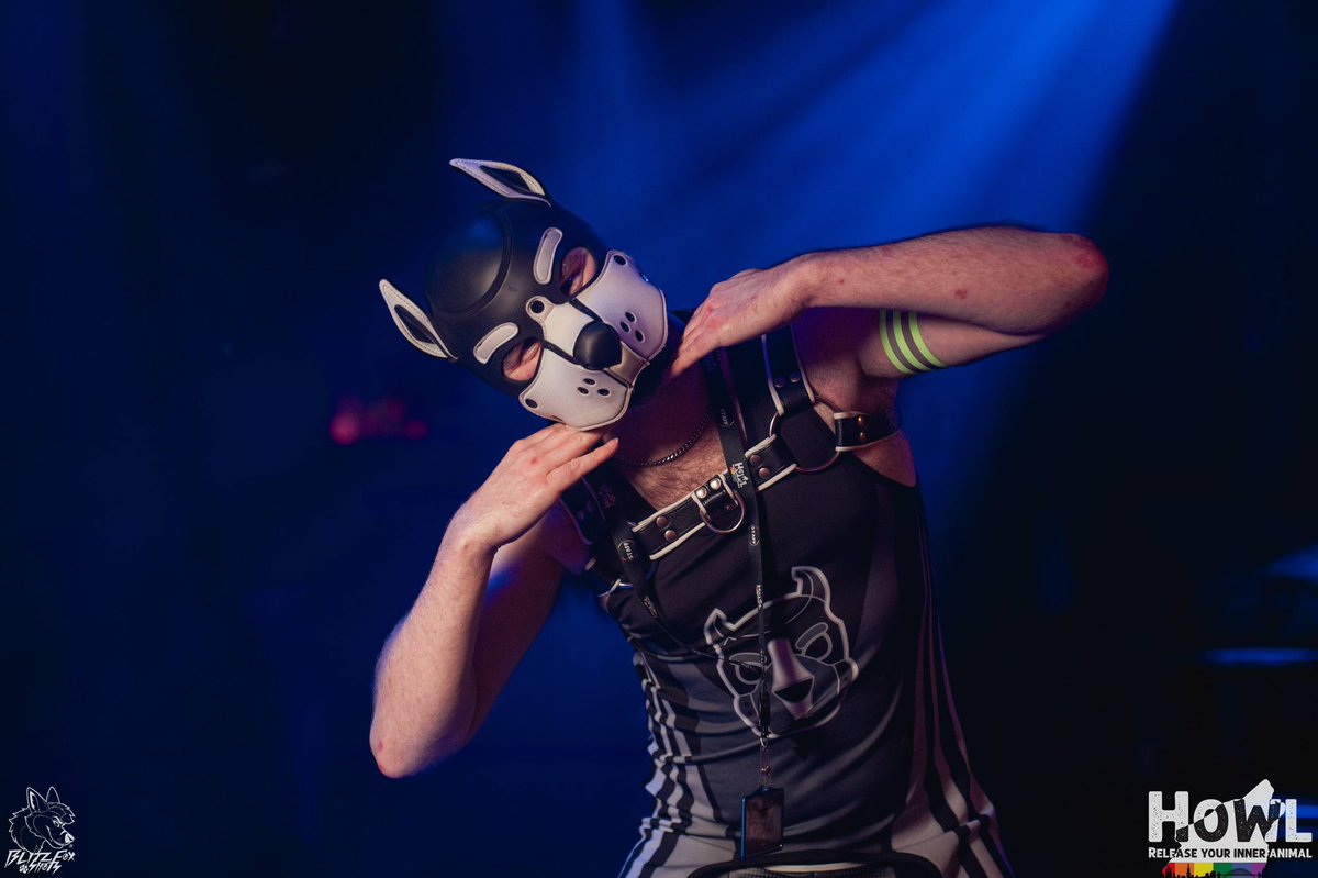 Wolfie 🐺 tweet media