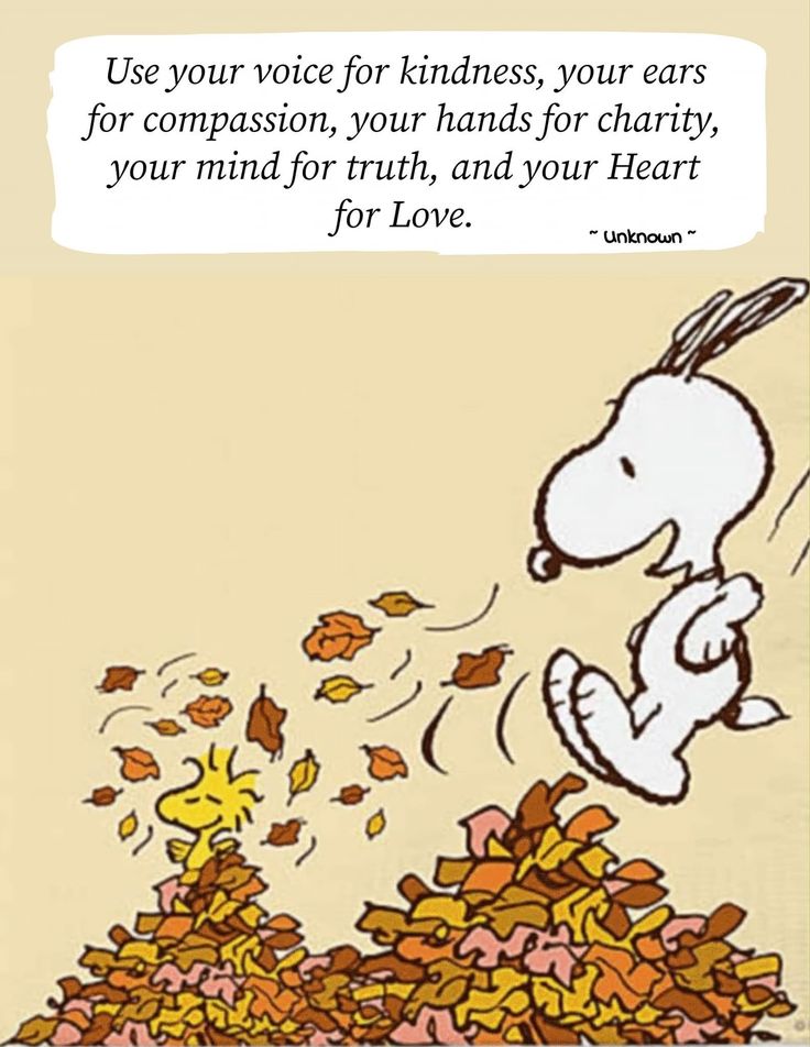 Snoopy's Everybody's Best Friend tweet media