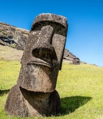 El implacable tweet media