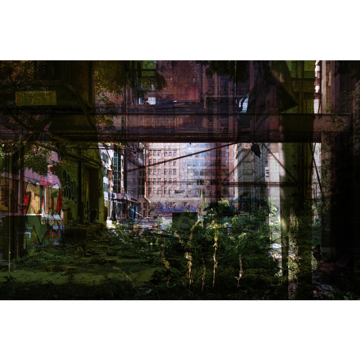 RealJonathanCastellino tweet media