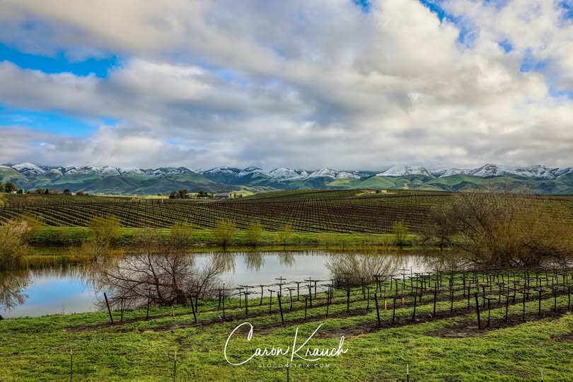 Gorgeous photo of snow-capped hills in Edna Valley. Photo is courtesy of Caron Krauch. #caronkrauch #ednavalley #mountainsnow #california #visitorsavings 😯