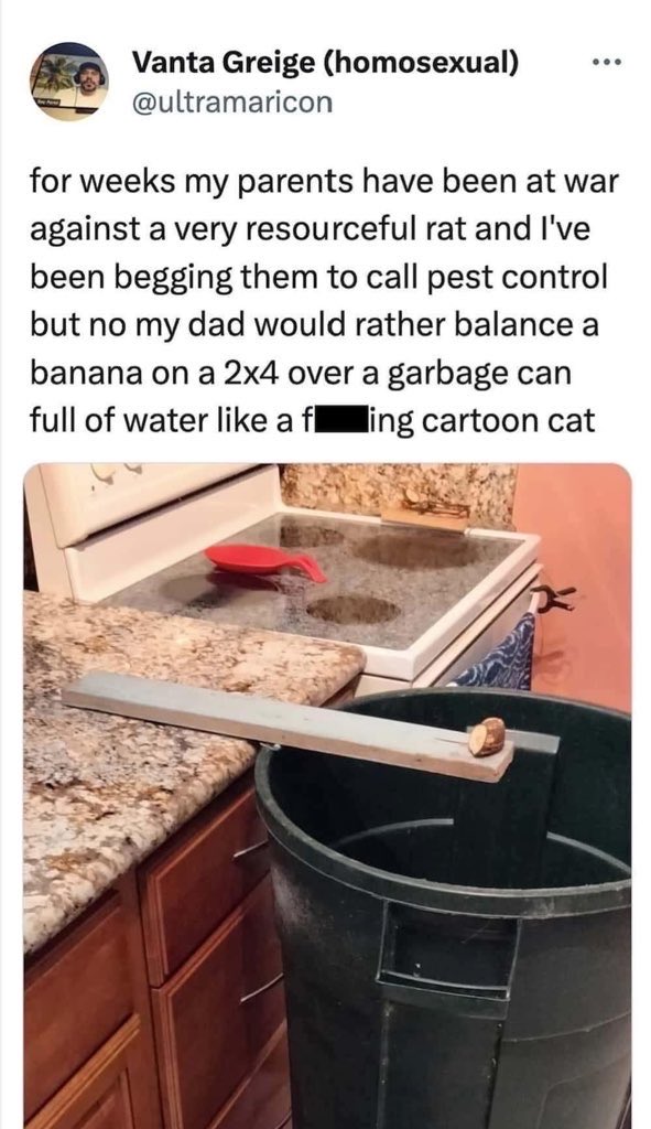 Rothmus 🏴 tweet media