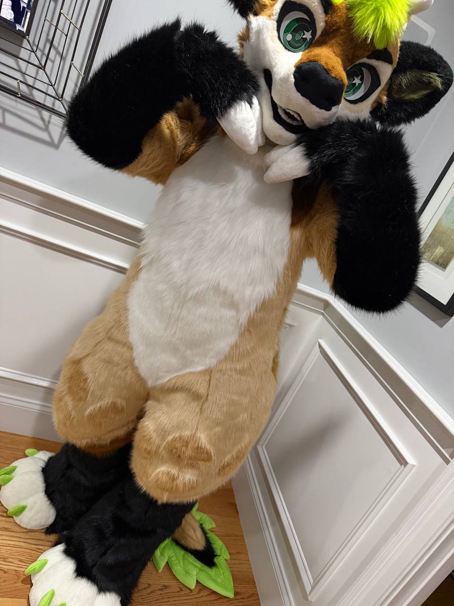 aspexofsalt 🦞🧡 tweet media