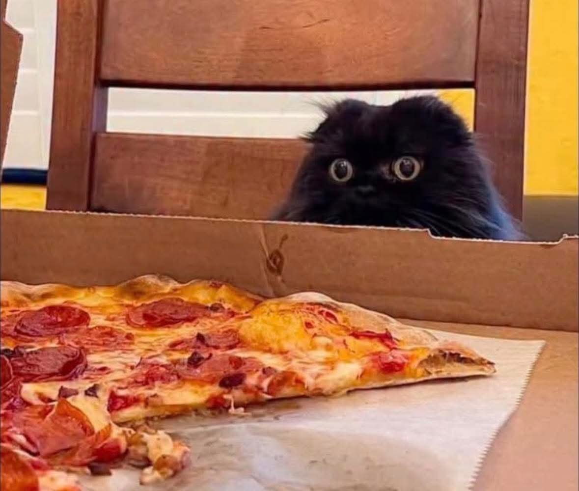 Jake 🖤 tweet media