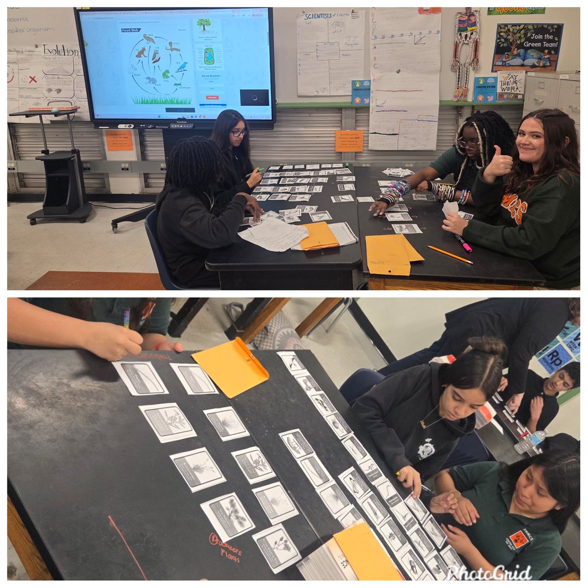 smmcswildcats's tweet photo. Science Learning Fun! Engaging Collaborations & Explorations in Ms. Marin's Class 💡🧬📚 #FoodWebs #Classifications
@MDCPS @MDCPSSTEAM @miamimagnets @MsSwainCRO @SuptDotres @MDCPSCentral https://t.co/c0rX5ciYrI