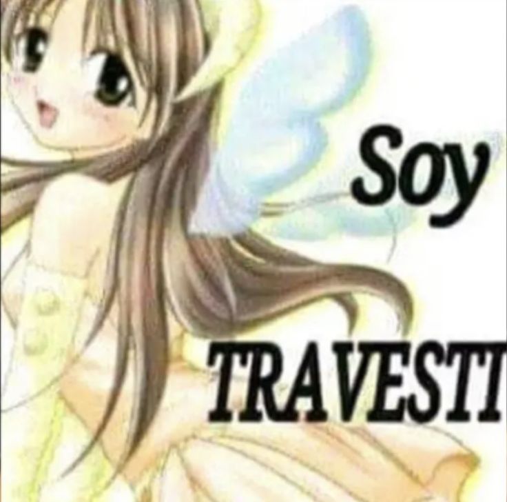 pollitokonpapa tweet media