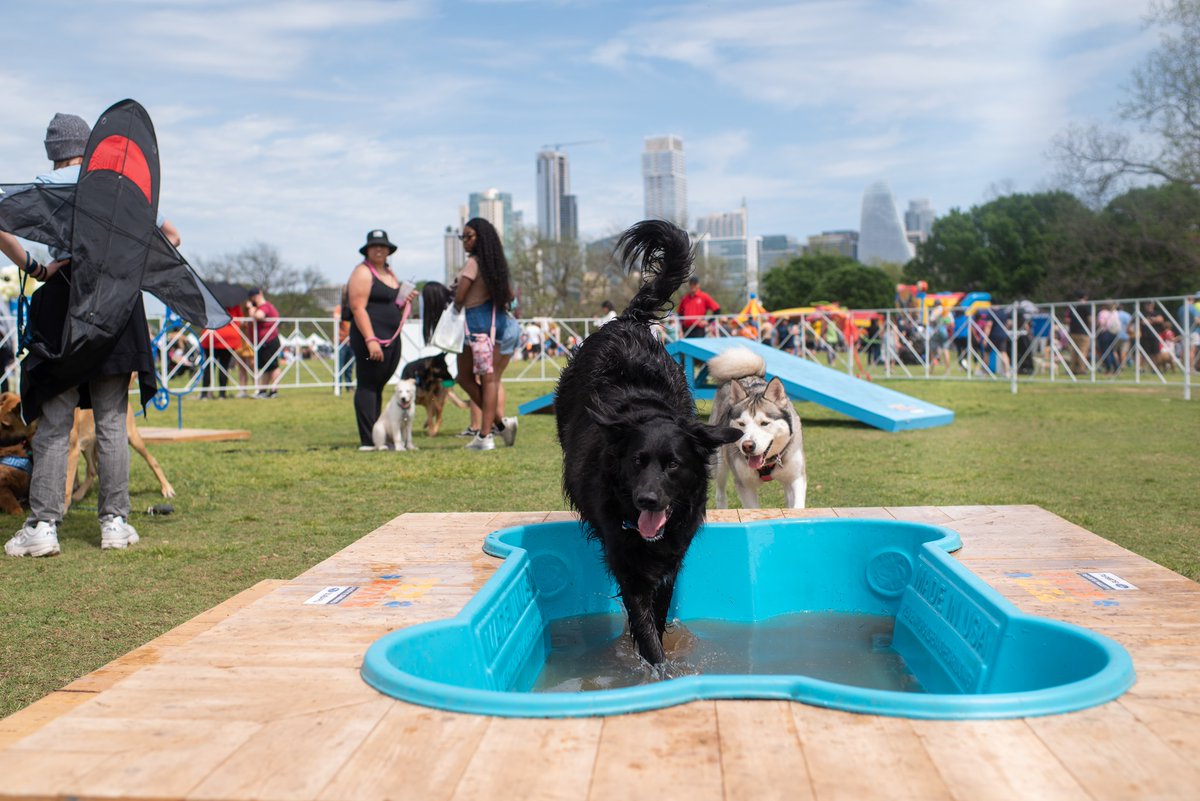 ABC Kite Fest tweet media