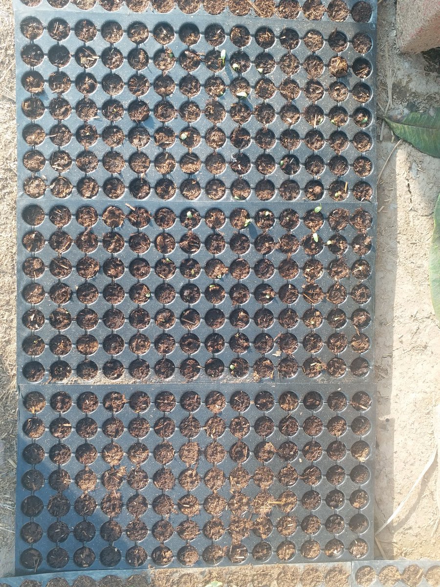 teeceeamit's tweet photo. People often ask what Amit Aggarwal is really thinking.

I don’t think small.
I don’t think for today only.
I think in decades.

I believe agriculture is not “farming” — it is the next big industry.

• Build systems, not shortcuts.
 @BJP4India @AgriGoI @PMOIndia @IndianExpress https://t.co/na2lQPcAg4