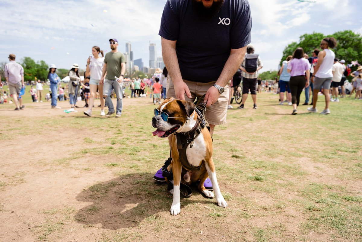 ABC Kite Fest tweet media