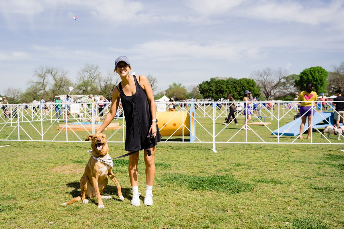 ABC Kite Fest tweet media