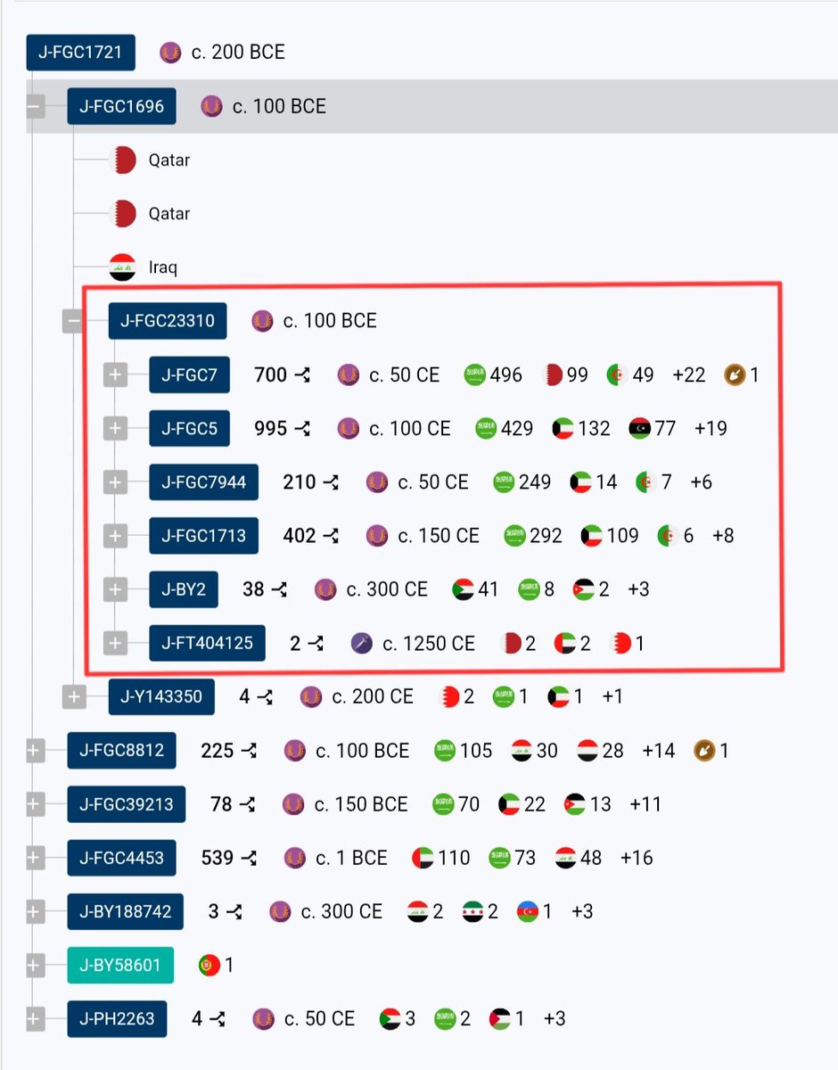 زبيد طيىء مذحج FGC4415 tweet media