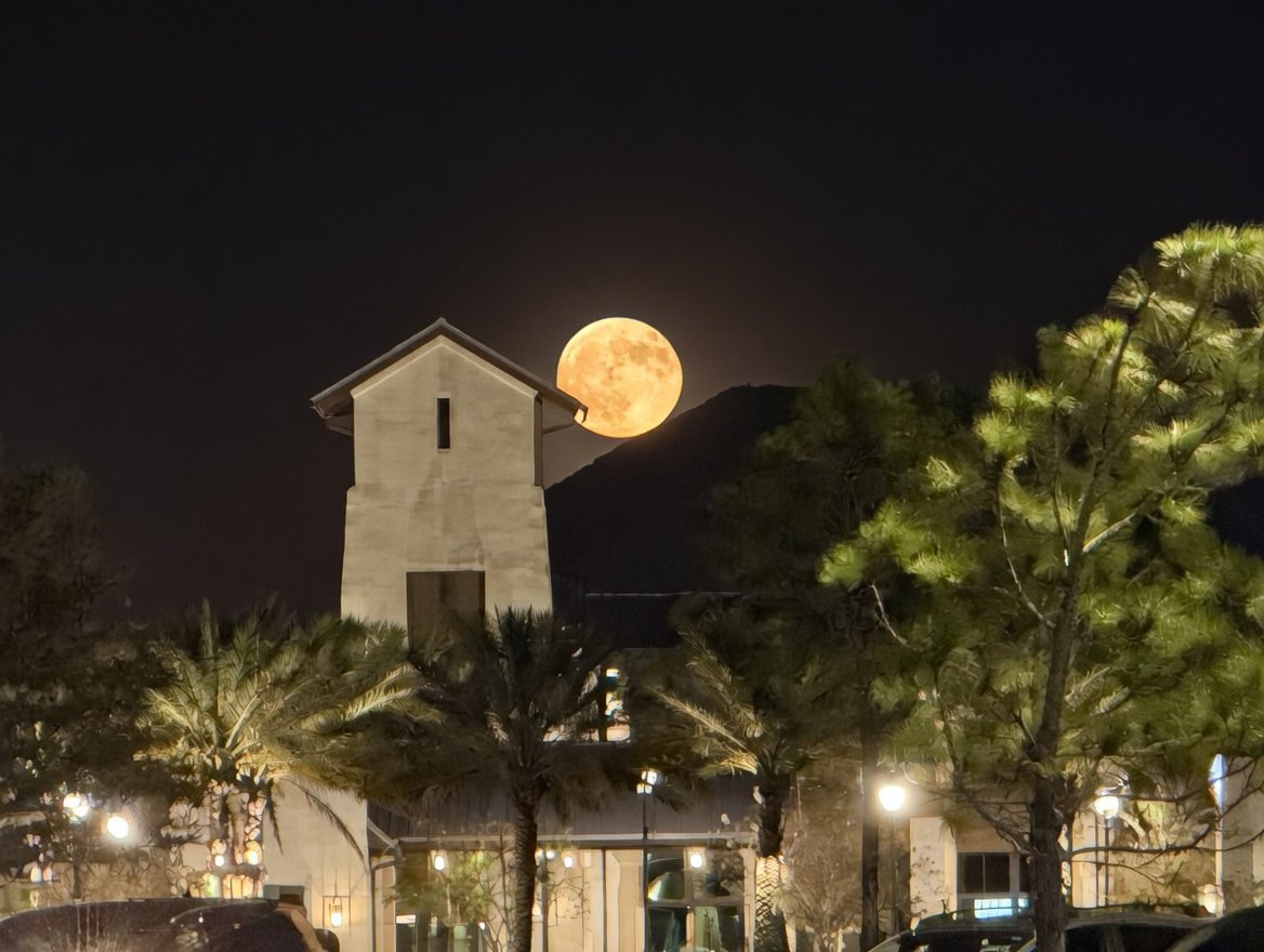 LFGEAUX/21M (@dissolve_dc) on Twitter photo 