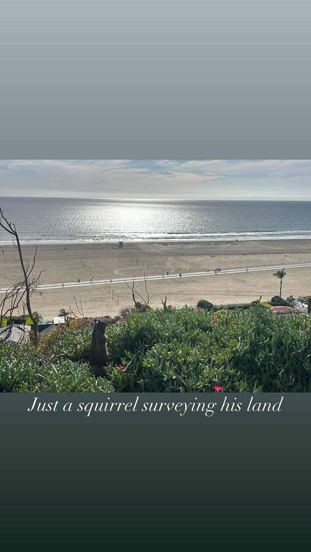 Lizzy McAlpine Updates tweet media