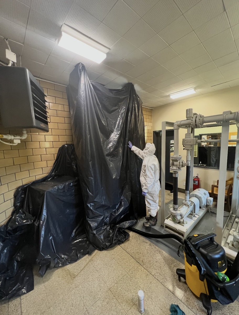 Mold Busters Inspection Remediation tweet media