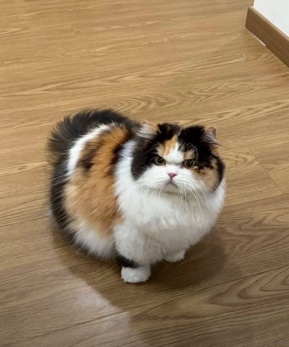 Kurt Angle tweet media