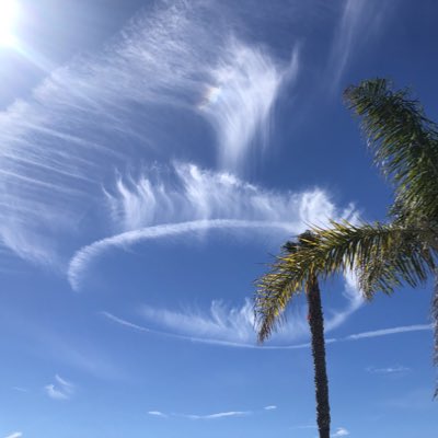 Any Word tweet media