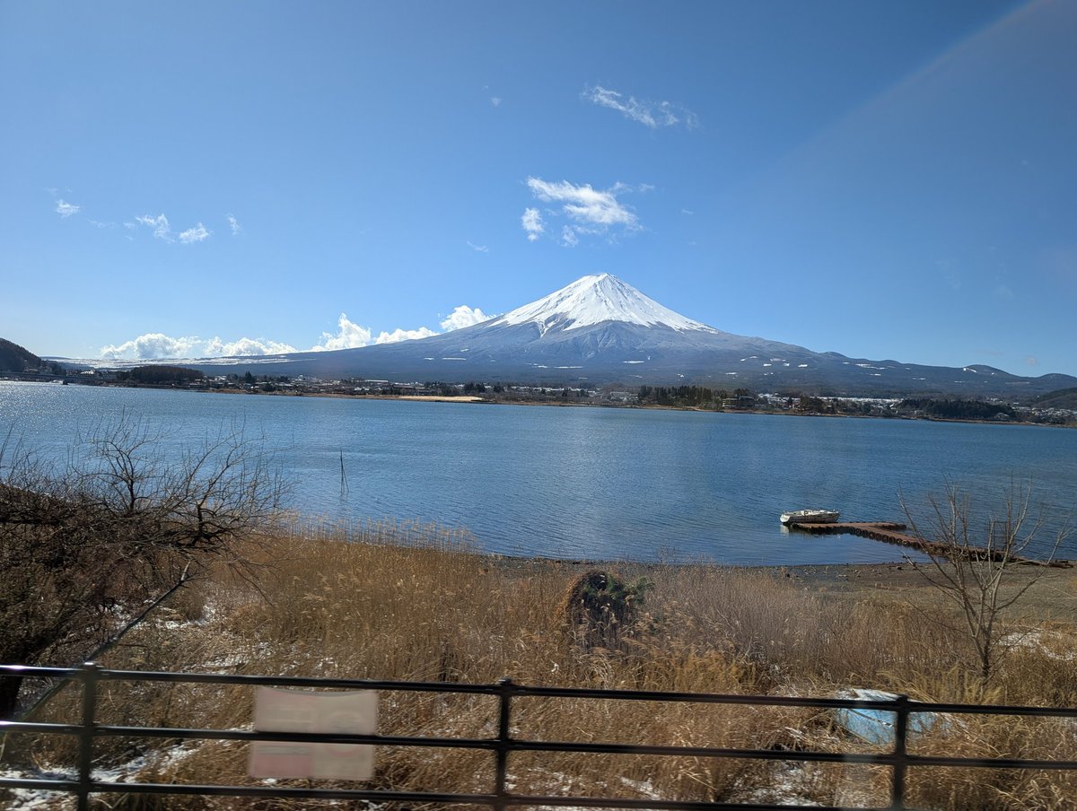 ゆうゆう tweet media