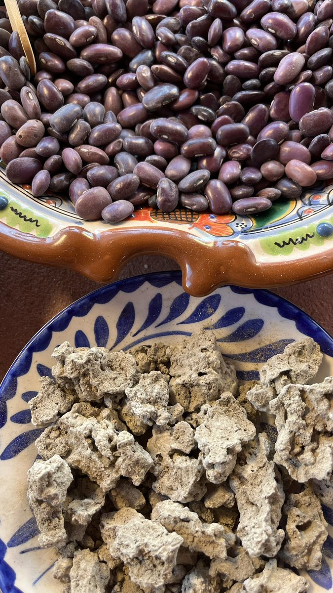MiguelConde75's tweet photo. Adobo antiguo, sabor eterno: AYOCOTES en adobo con carne de cerdo que nos prapara Yara Muñoz en San Felipe Sultepec, Tlaxcala | HISTORIAS DE SABOR ==> https://t.co/0Qd2SjMDsm https://t.co/ZILGbgjc9s