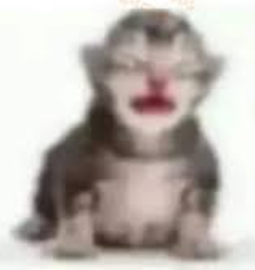 bus_mixta ✦ comisiones abiertas tweet media