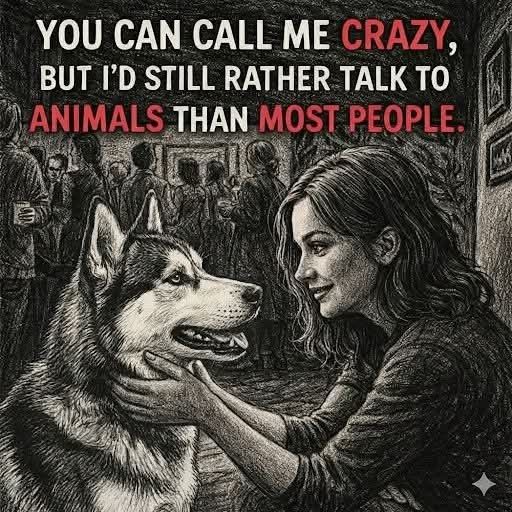 𝕏 Dogs (@_xdogs) on Twitter photo 