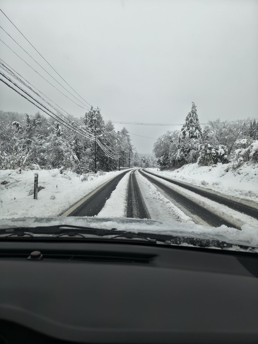youmunmun50's tweet photo. 雪降り過ぎ https://t.co/hZi0zfTRZO