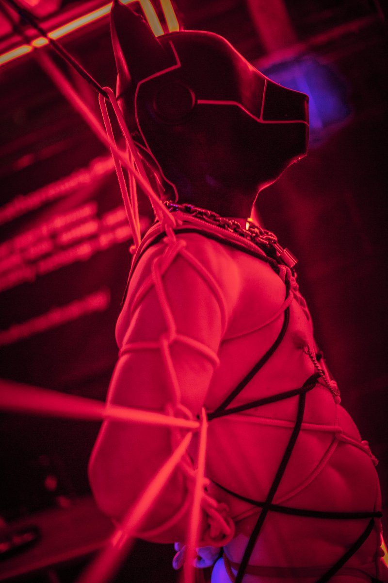 tygersslave.bsky.social tweet media