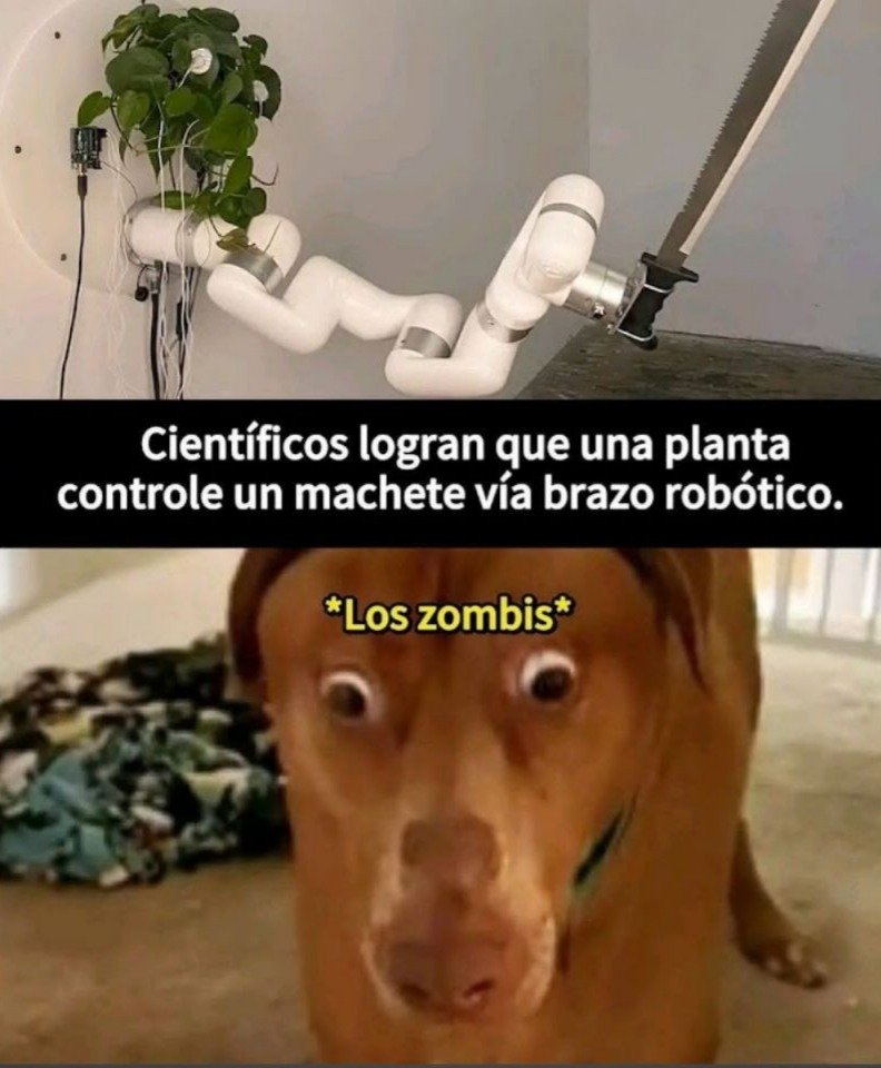 Rincón Curioso tweet media