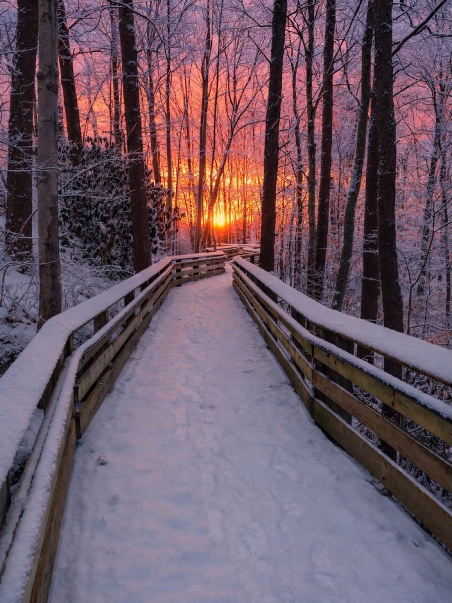 WestVirginia'sBlueRidge tweet media