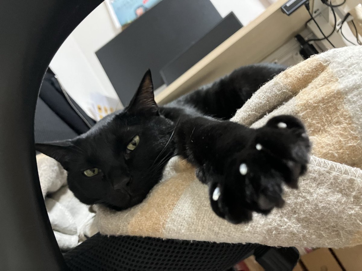 お爪が出でますよ