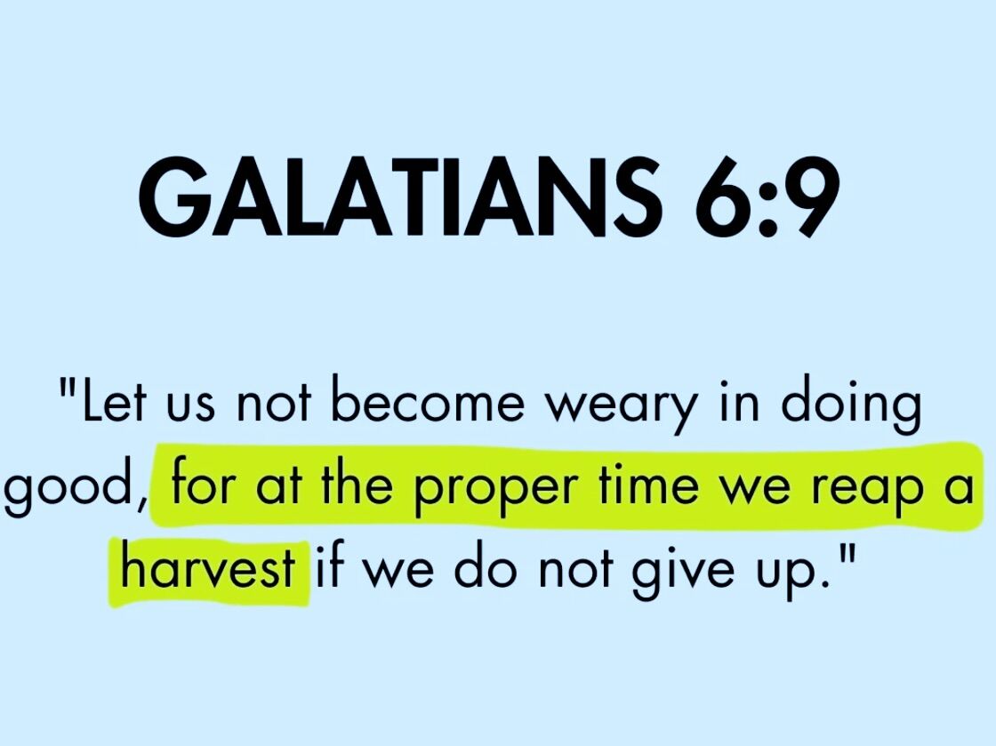 Walk with God tweet media