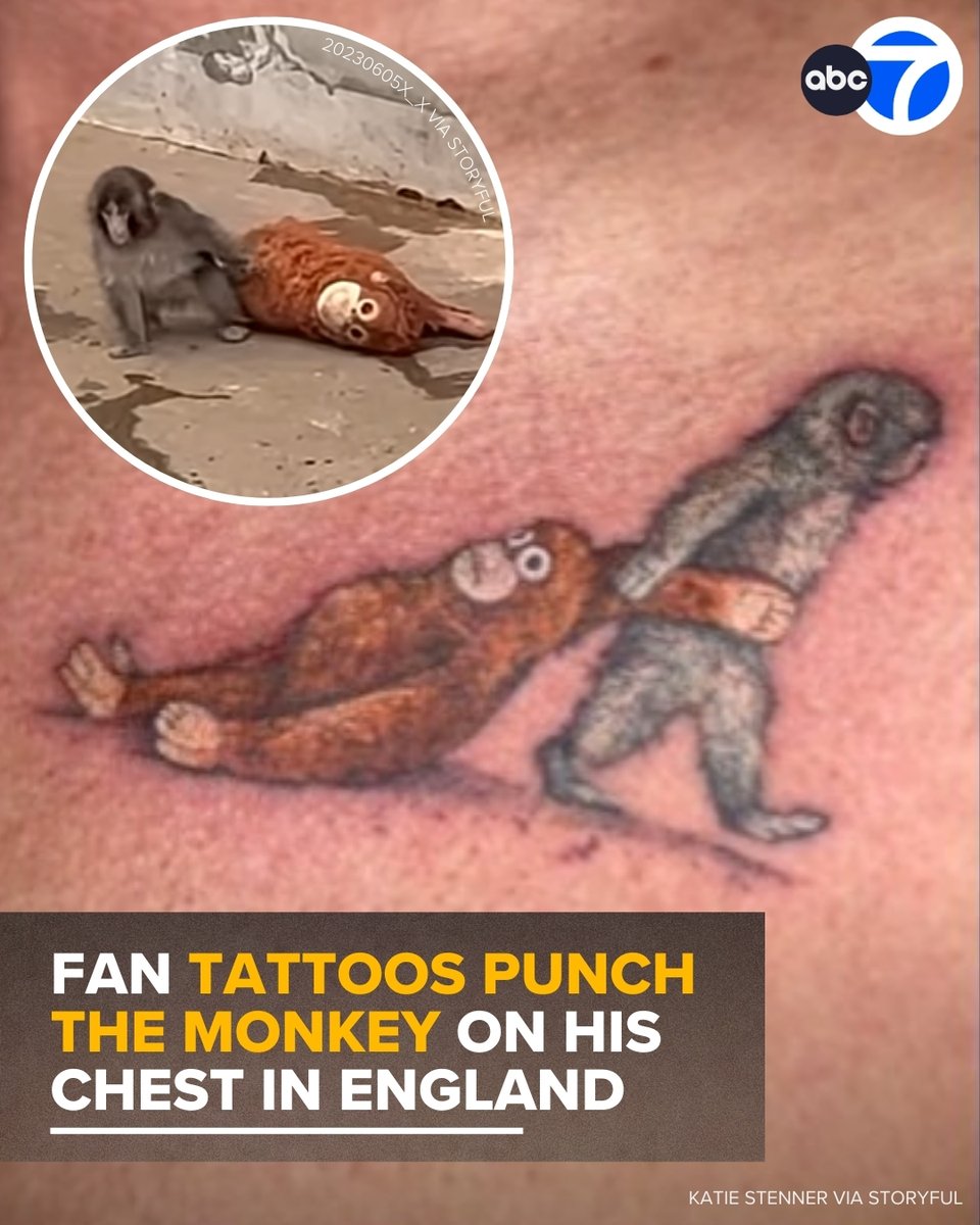 Are you Punch's biggest fan? 👀 

A man in England took his love for the monkey to the next level and got a tattoo of Punch on his chest!

The tattoo replicates the beloved monkey dragging along his stuffed orangutan in his enclosure at Ichikawa Zoo in Japan. 🐒🧡🦧