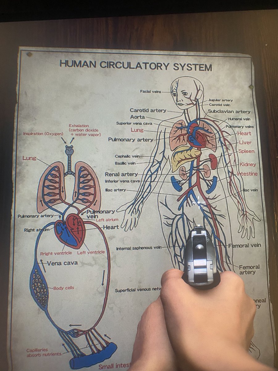 Mohammed Alzahrani tweet media