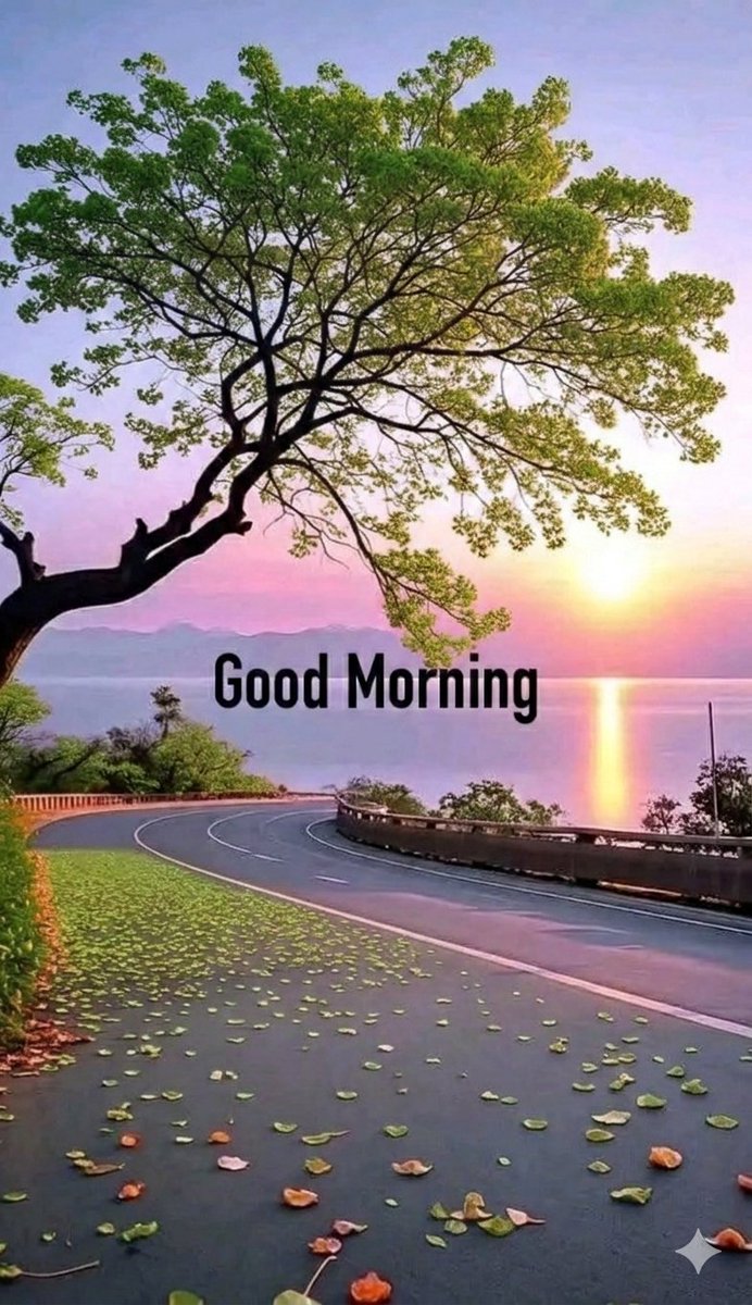 Happy Morning Creators ❤️