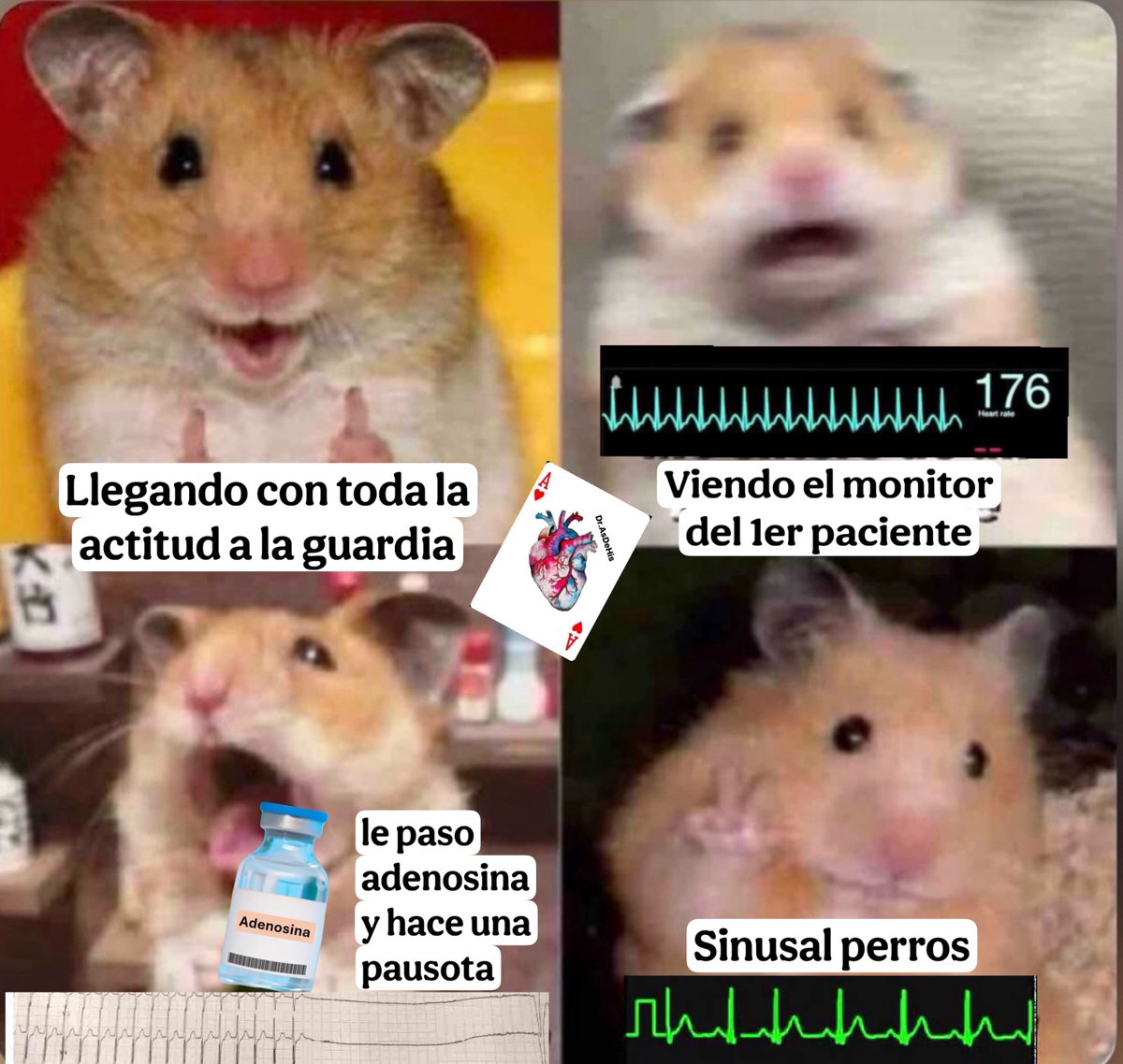 Fases de una TSV hemodinámicamente estable…🤣🫀⚡️