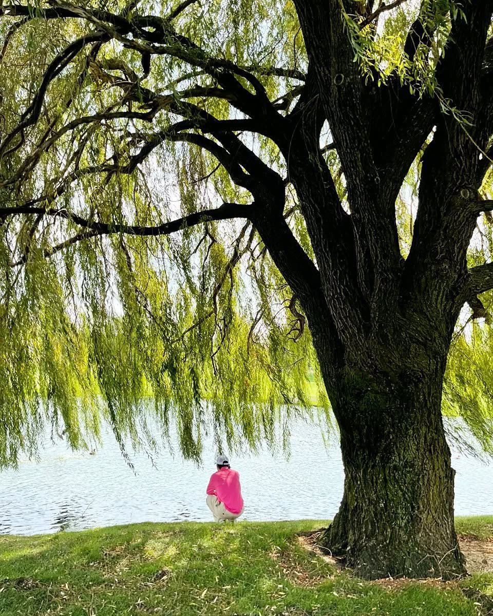Breathing in the cool air, feeling the world slow down. Just me, the water whispering, and the leaves dancing above — a moment that feels untouched and beautifully alive.