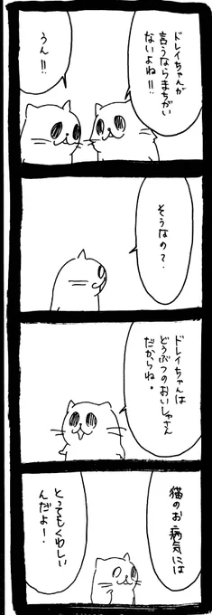 ドワーフキャットタオルちゃん32 