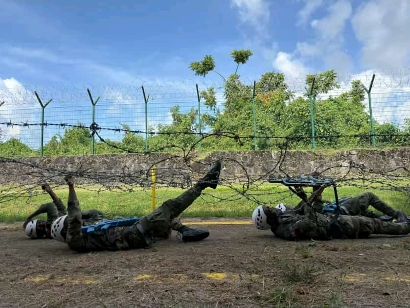 Gloire aux Forces Armées d'🇭🇹 tweet media