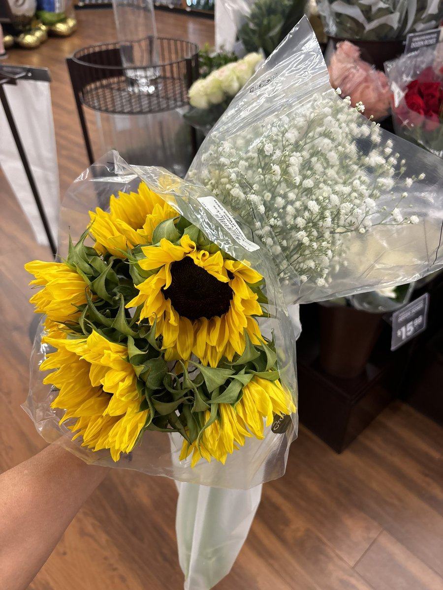 DANAFLEYSER2's tweet image. Me regale unos mirasoles #sunflower 🌻 ahora si a casa a ver #GranHermano2026 👁️🧿