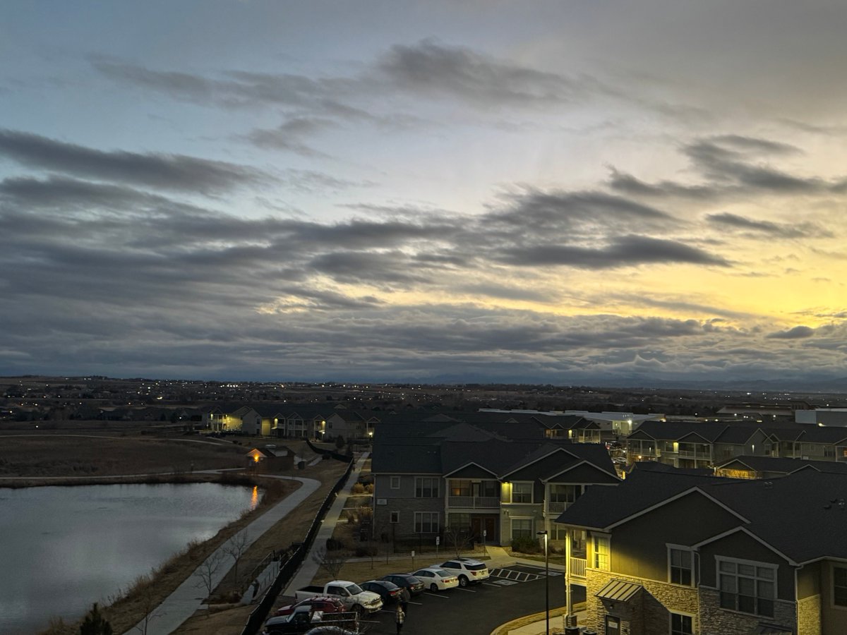 brian herring tweet media