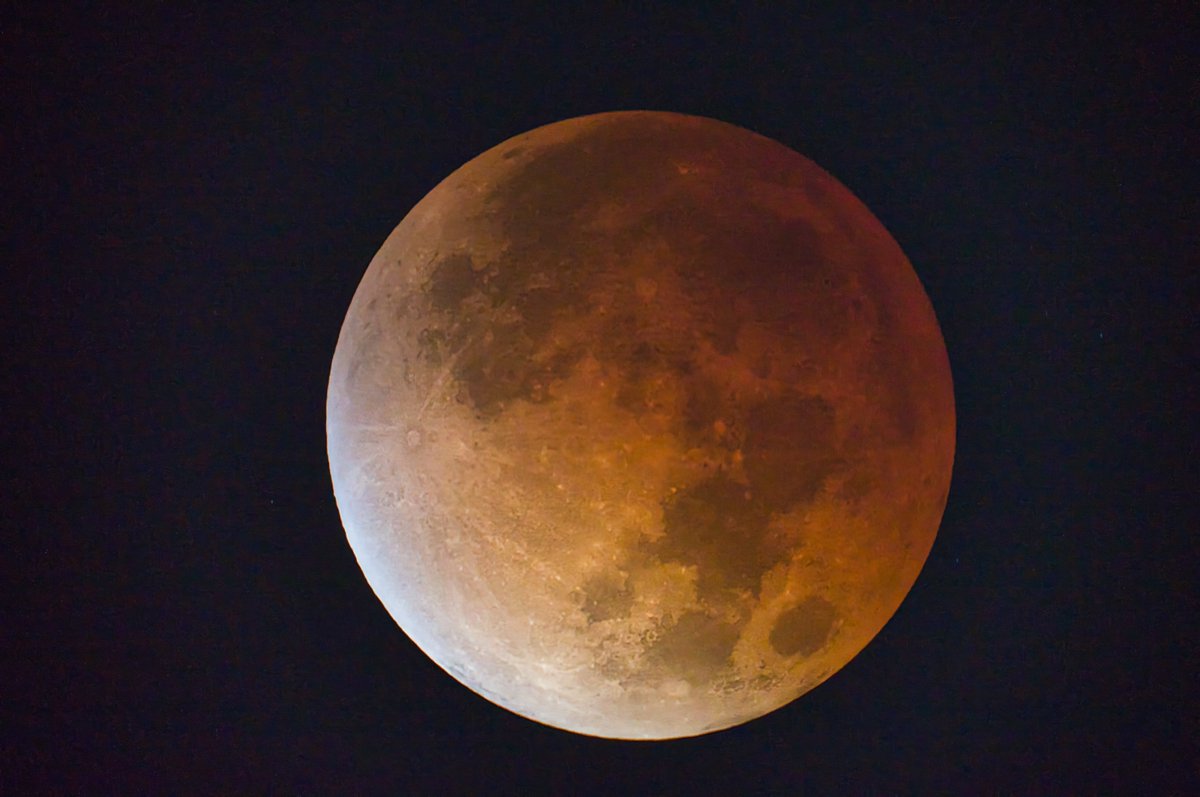 Obs_OjodeHorus's tweet photo. Imágenes de la Luna antes y durante el máximo del eclipse hoy en la madrugada.

Sony Nex3N + Mak-C 90x1250mm, imágenes individuales procesadas en Luminar NEO. https://t.co/GQibKwEuwb