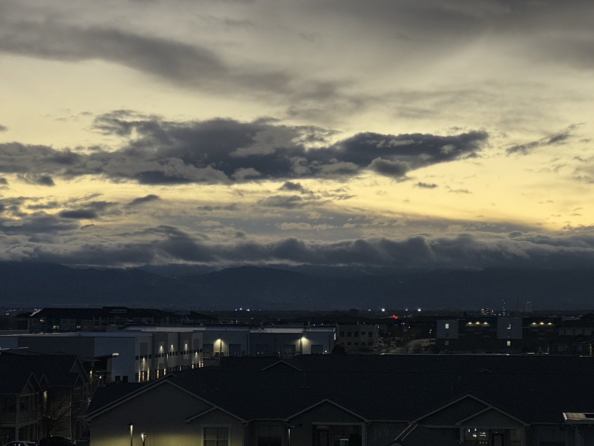 brian herring tweet media