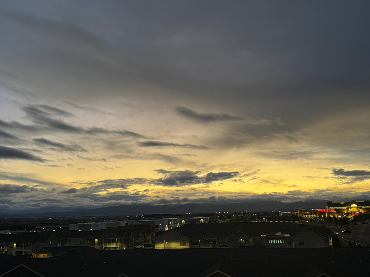 brian herring tweet media