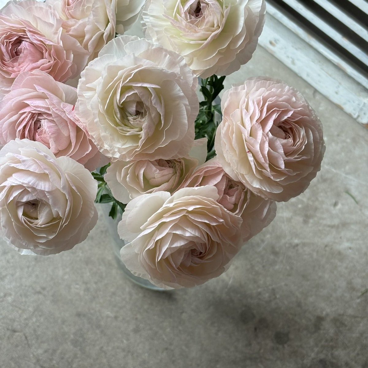 侘助 (@wabisuke0880) / Posts / X