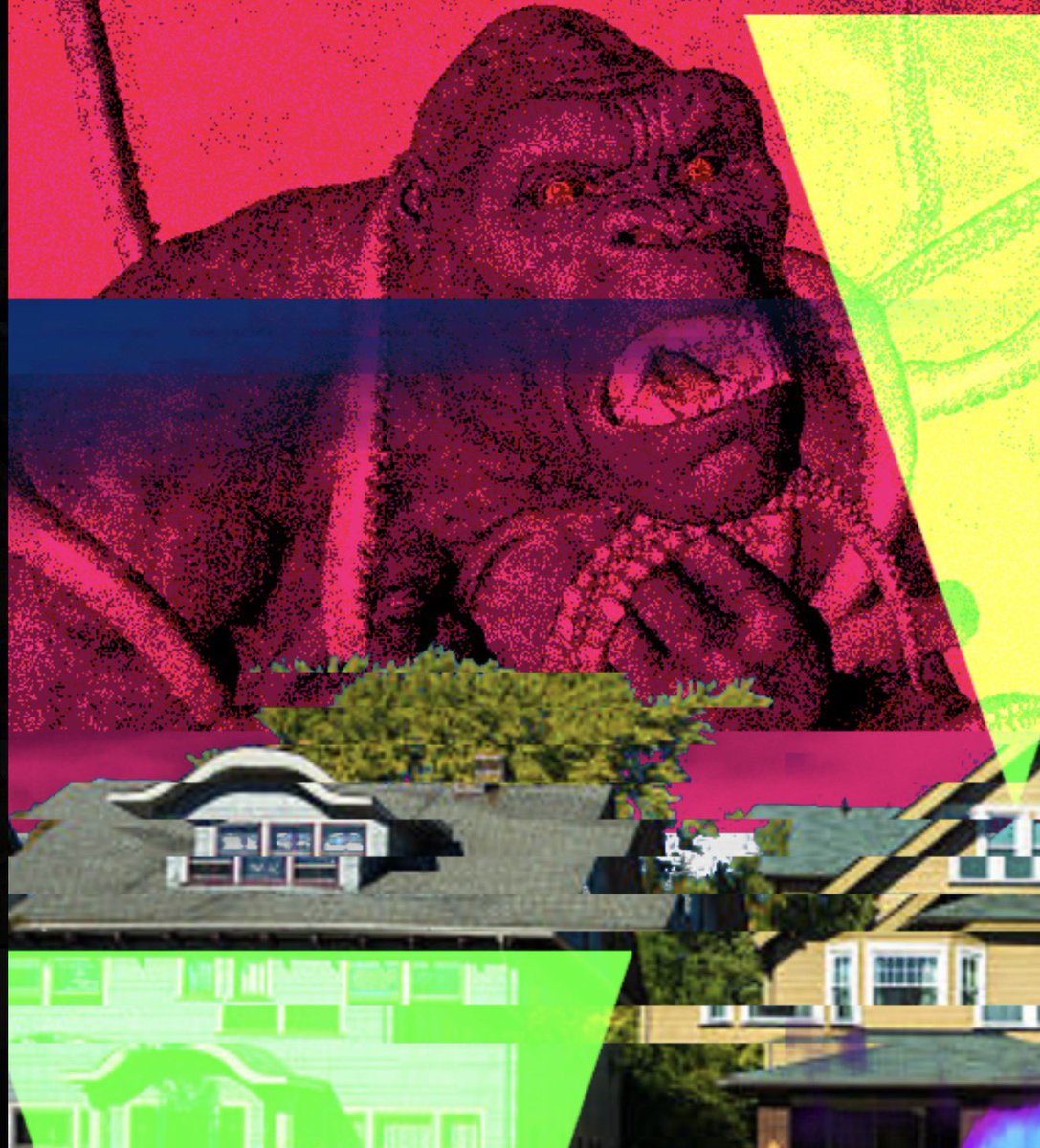 Finn McKenty tweet media