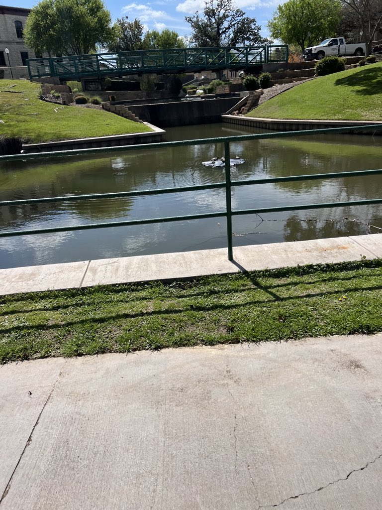 Michael Johnson tweet media