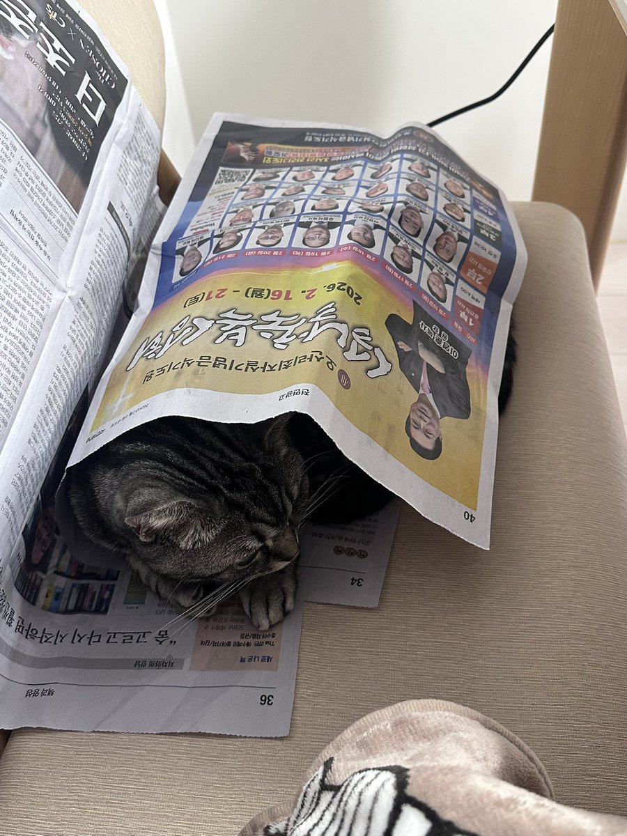 conandoylecat's tweet photo. 노숙묘 https://t.co/E1WsycU5JX