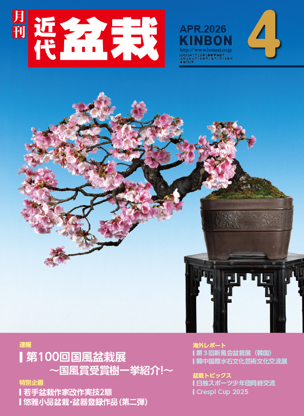 月刊 近代盆栽 2026年4月号(3/4発売) 第100回国風盆栽展 若手盆栽作家