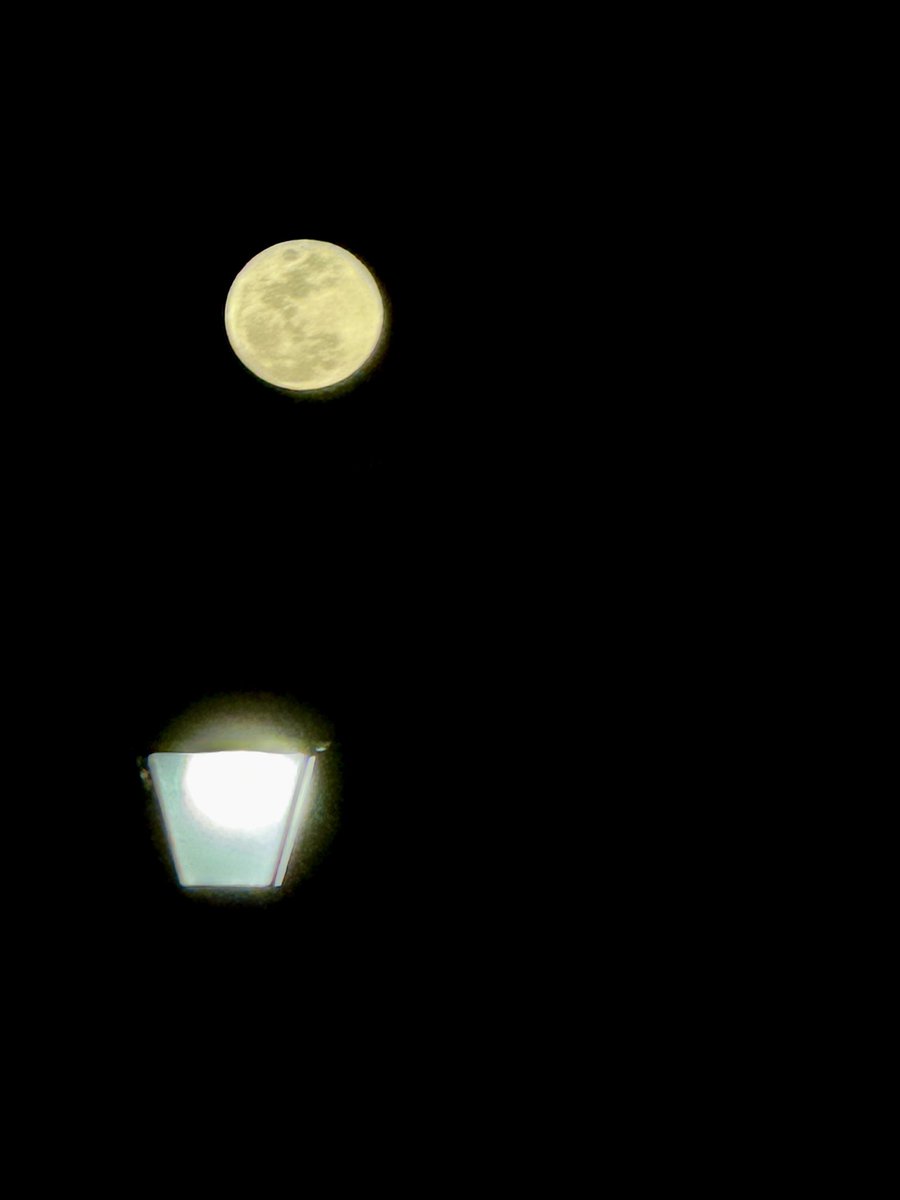 P00BeARs's tweet image. That’s Amore ❣️ #moongazing 🌕